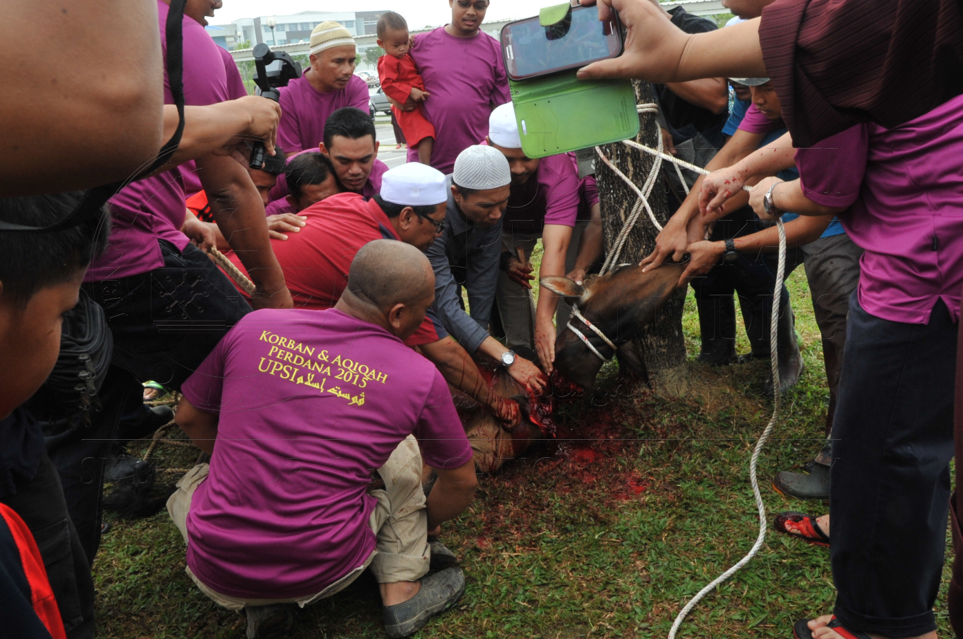 PRO15 150 KORBAN HAS 6793